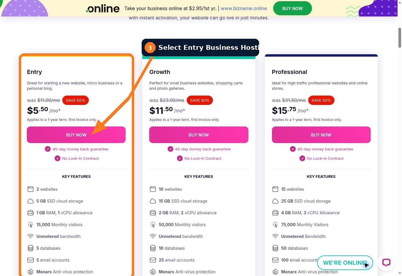 VentraIP Business Hosting plans with Entry highlighted